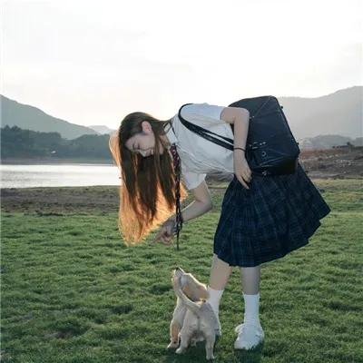 猫咪心动奇迹