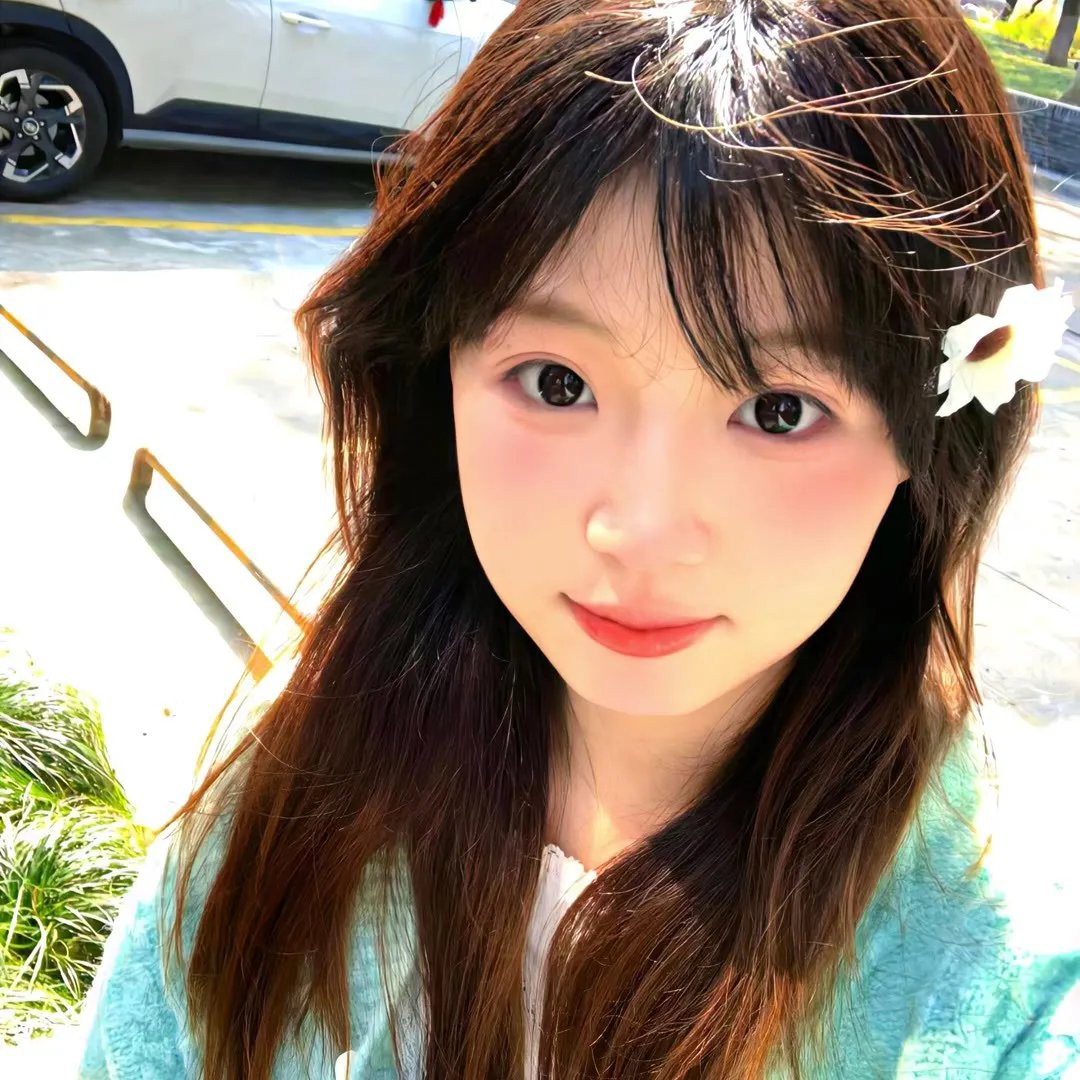 芝士伙伴